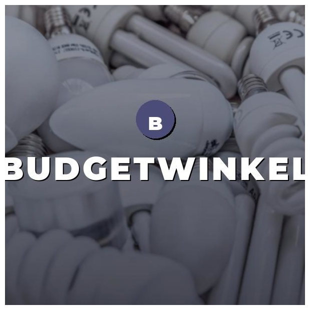 BudgetWinkel logo